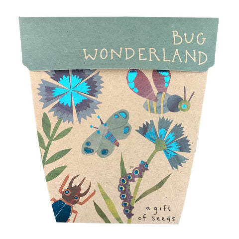 Sow n Sow a Gift of seeds - Bug Wonderland