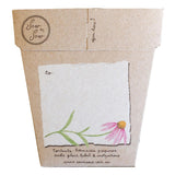 Sow n Sow a Gift of seeds - Echinacea